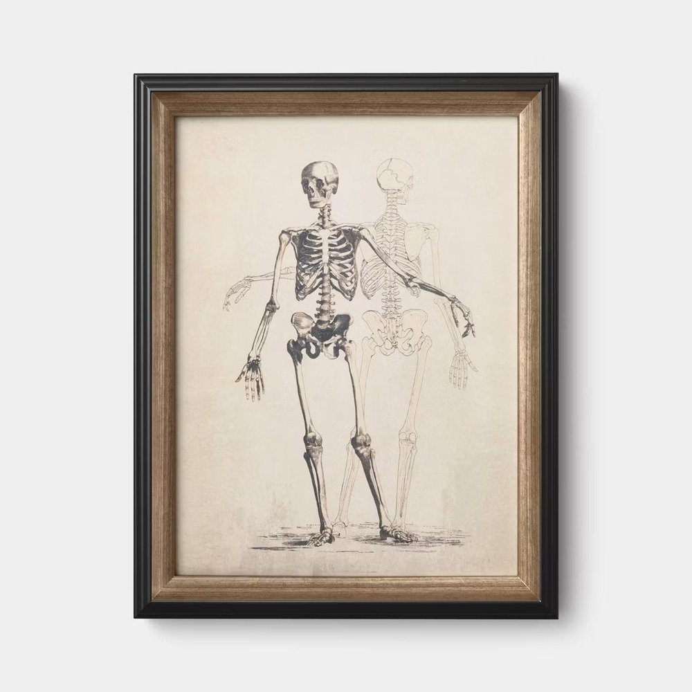 14"x18" Skeleton Halloween Wall Art Framed - Threshold, Target